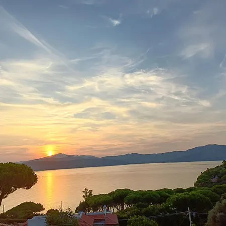 Colibri41elba-mami *