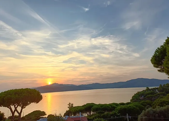 Colibri41elba-mami *