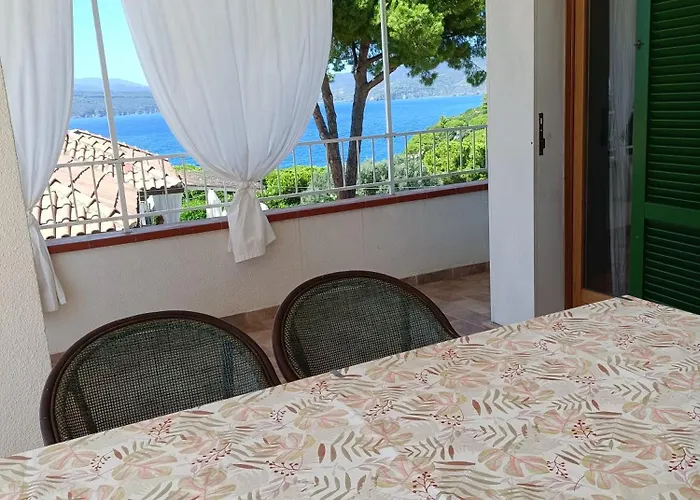 Colibri41elba-mami * Trappola